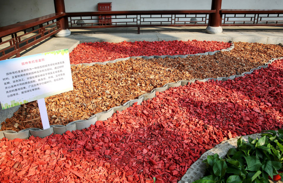06.jpg